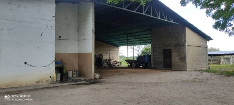 Propiedad