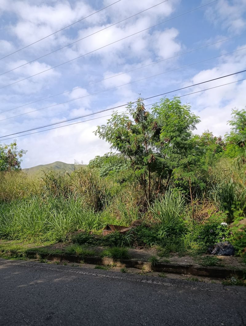 Propiedad