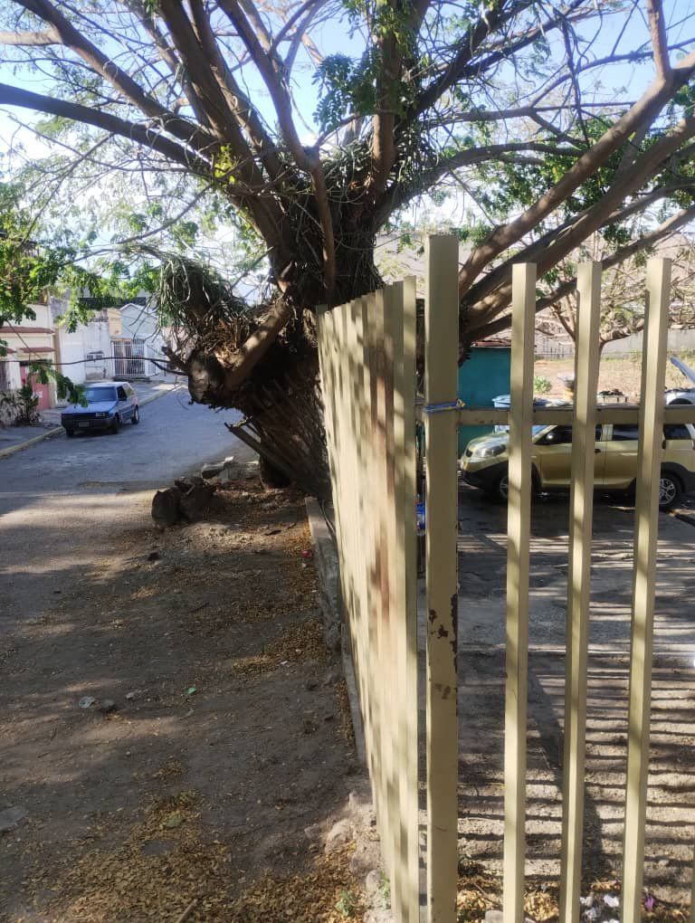 Propiedad