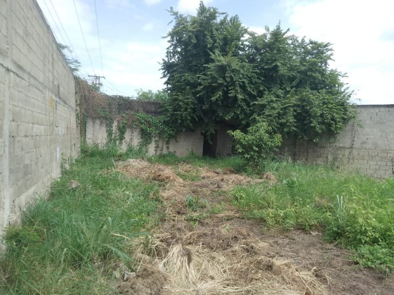 Propiedad